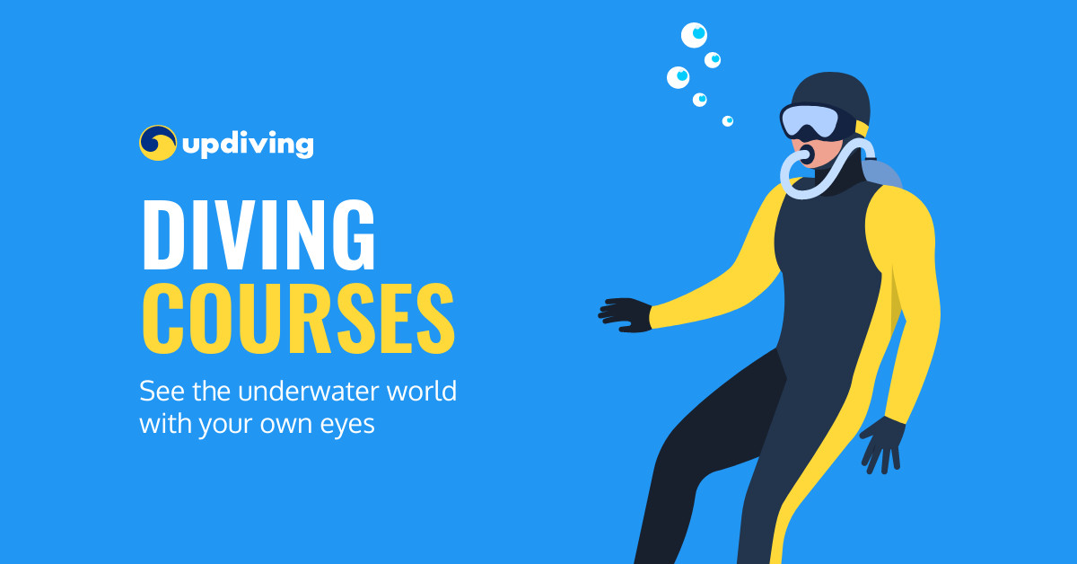See the Underwater World Diving Courses Responsive Landscape Art 1200x628
