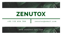 Zenutox Spa Business – Card Template 252x144