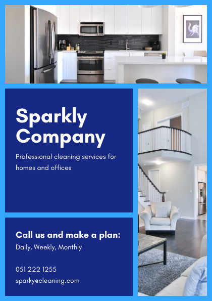 Sparkly Professional Cleaning Services Flyer