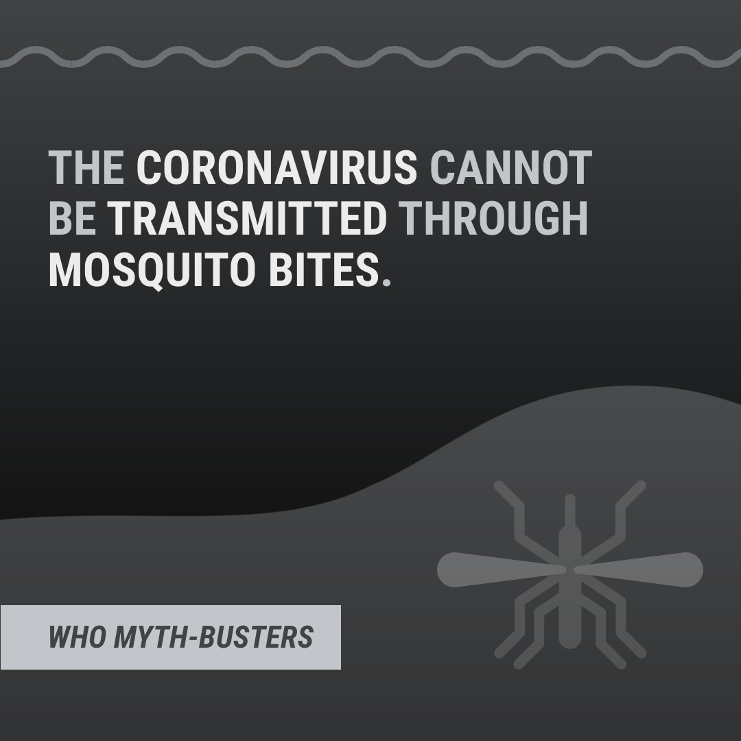 Myth COVID-19 Mosquito Bites Facebook Carousel Ads 1080x1080