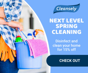 Next Level Spring Cleaning Inline Rectangle 300x250