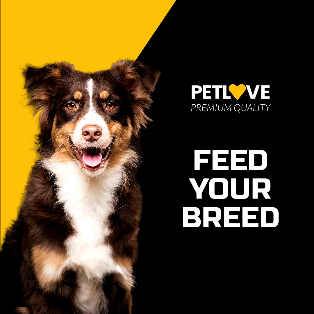 Feed Your Breed Pet Love