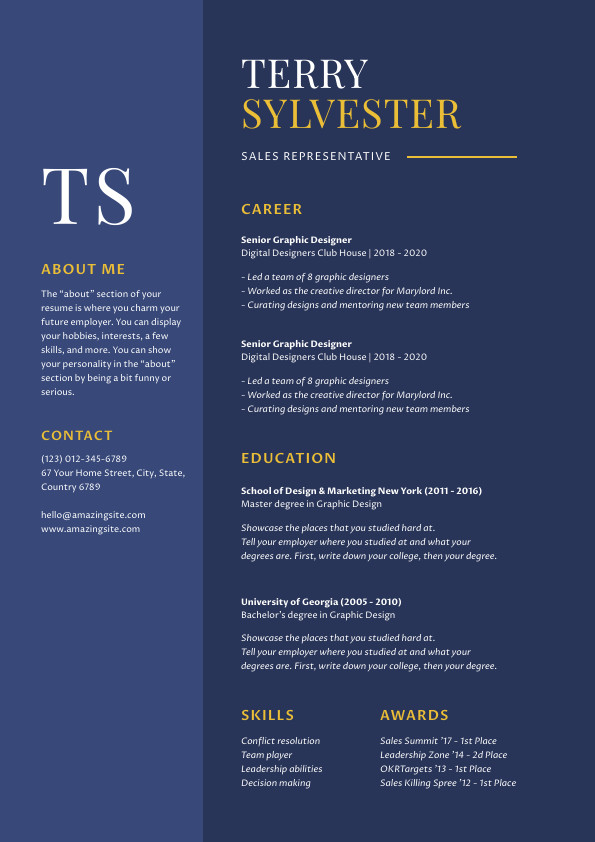 Terry Sylvester Sales – Resume Template 595x842
