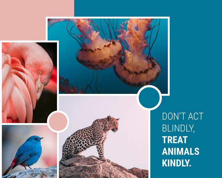 Treat Animals Kindly – Photo Collage Template 709x567 template