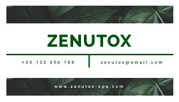 Zenutox Spa Business – Card Template 252x144 template