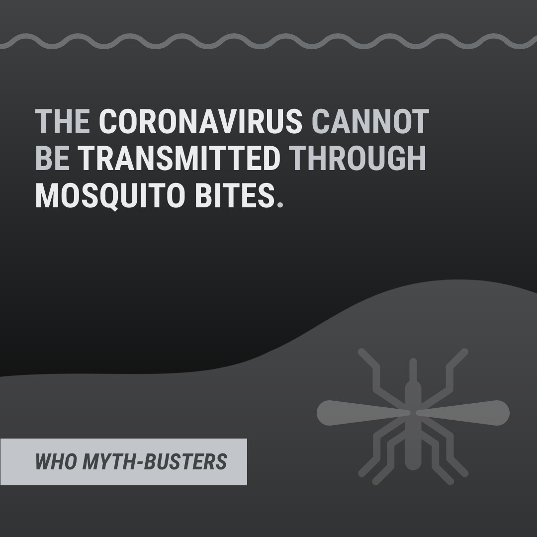 Myth COVID-19 Mosquito Bites Instagram Post 1080x1080