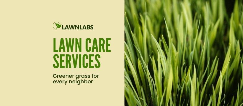 Greener Grass Lawn Care Services 
