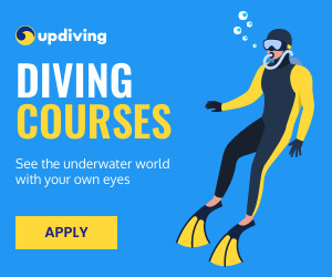 See the Underwater World Diving Courses