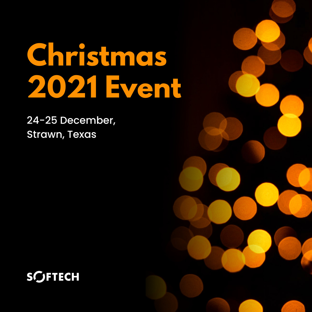 Festive Lights Christmas 2021 Event