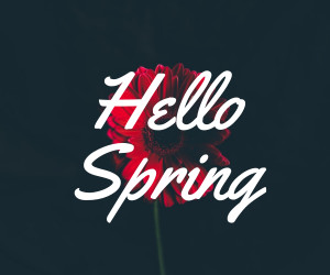 Hello Spring Red Flower Inline Rectangle 300x250