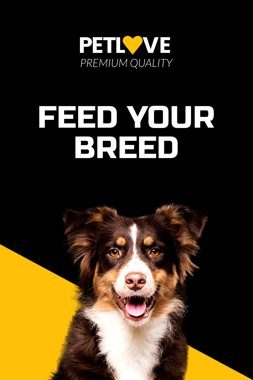 Feed Your Breed Pet Love Inline Rectangle 300x250