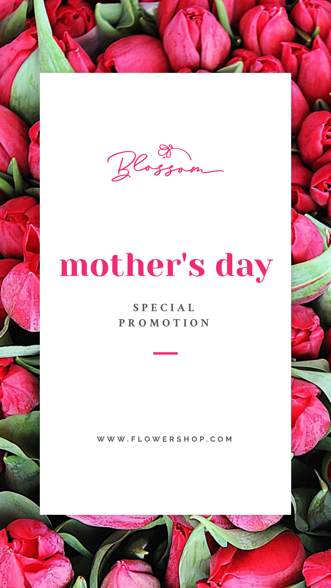 Mothers Day Special Promotion Tulips