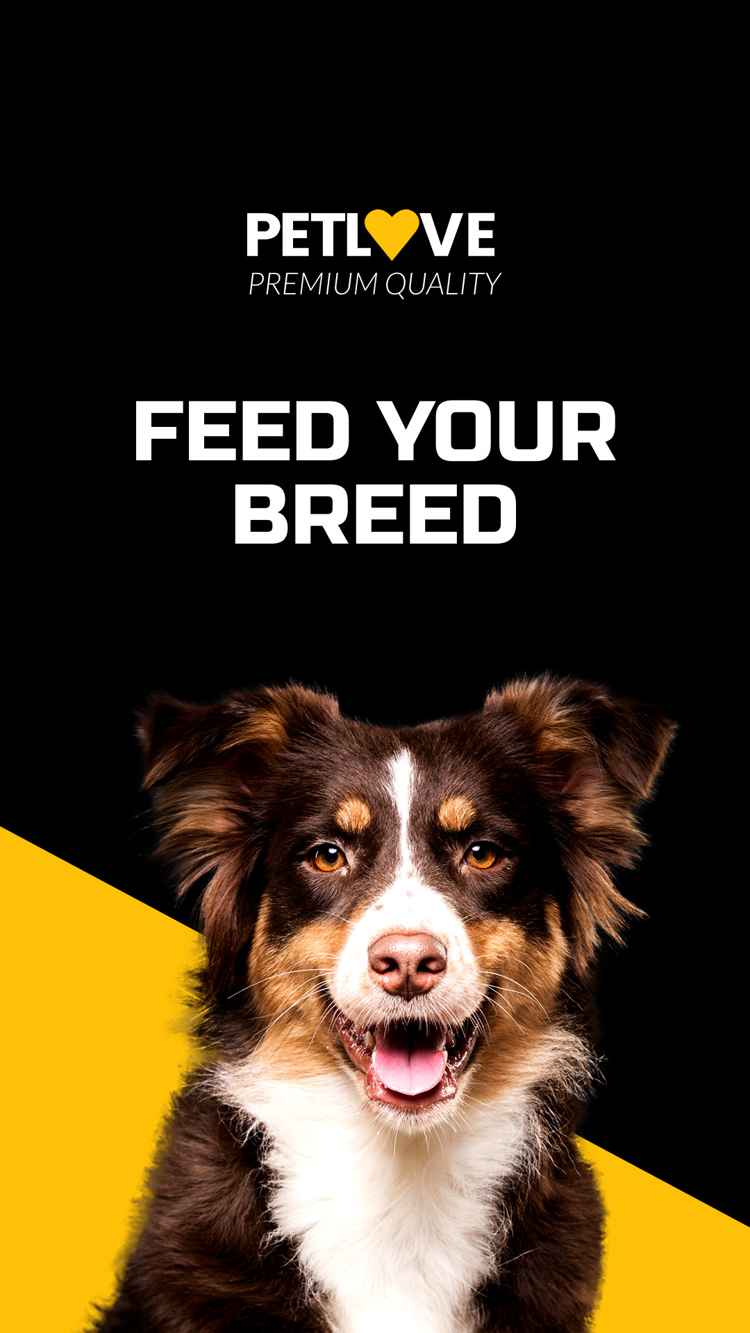 Feed Your Breed Pet Love Inline Rectangle 300x250