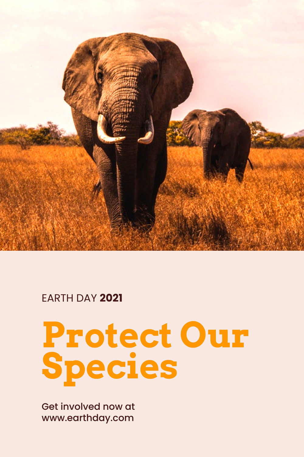 Protect Our Species Earth Day Facebook Cover 820x360
