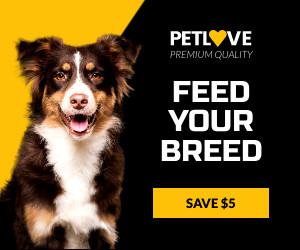 Feed Your Breed Pet Love Inline Rectangle 300x250