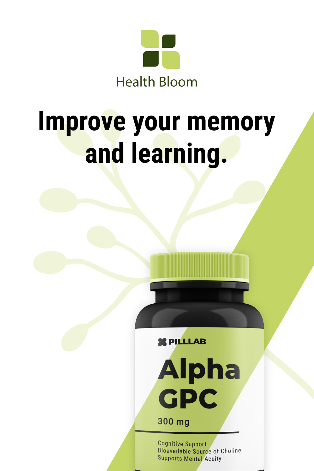 Improve Your Memory And Learning