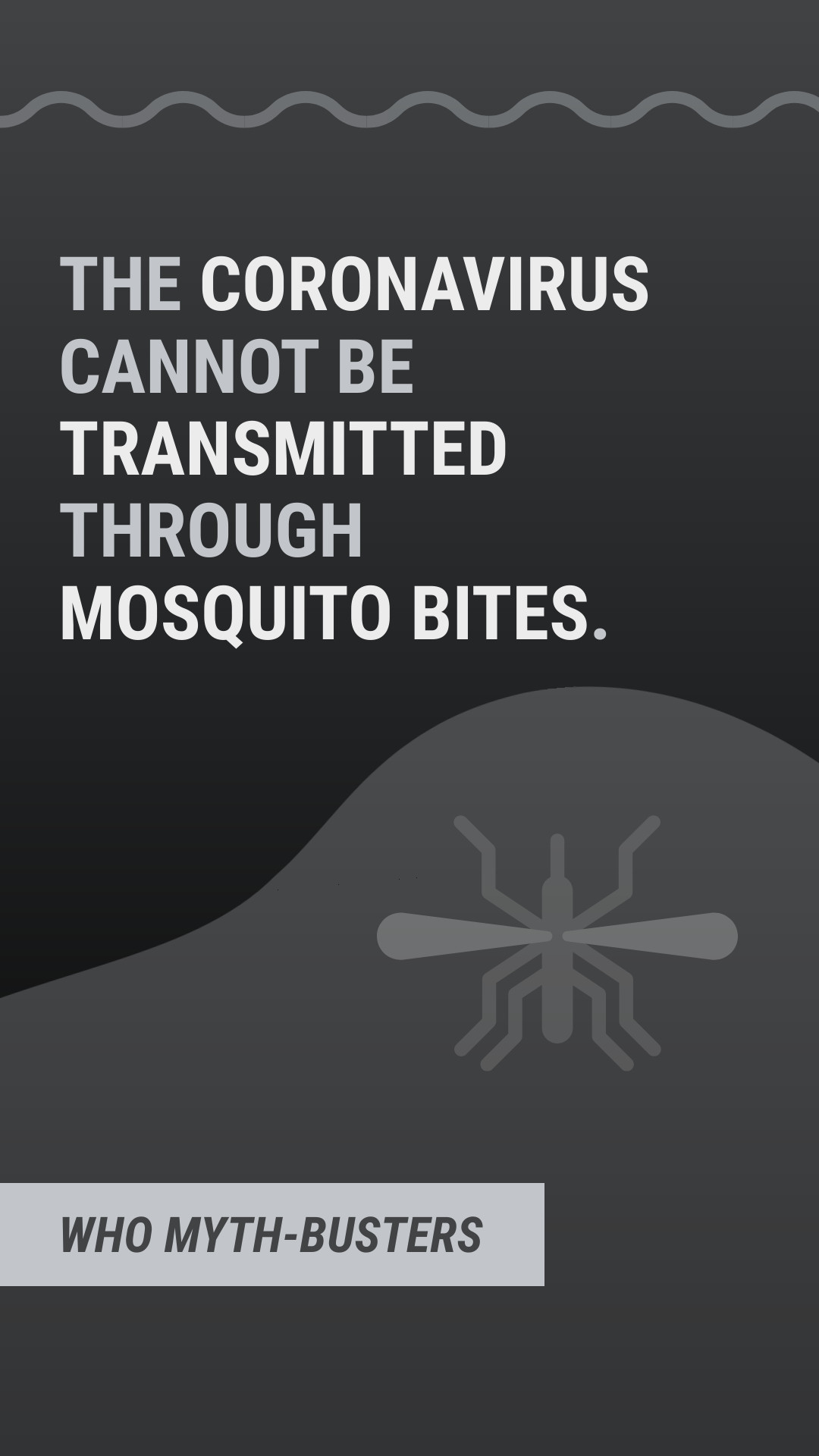 Myth COVID-19 Mosquito Bites