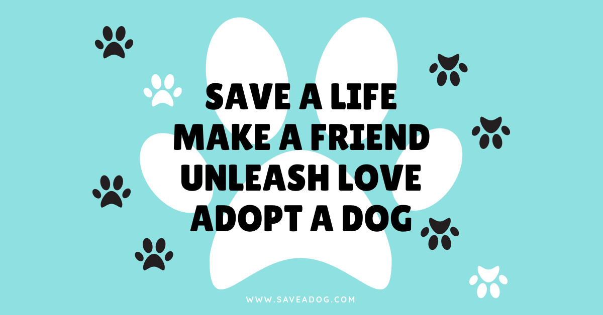 Adopt A Dog Facebook Sponsored Message 1200x628