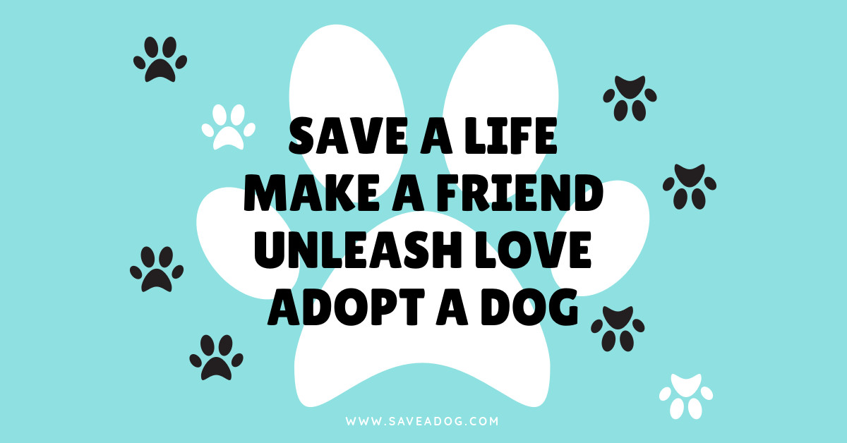 Adopt A Dog