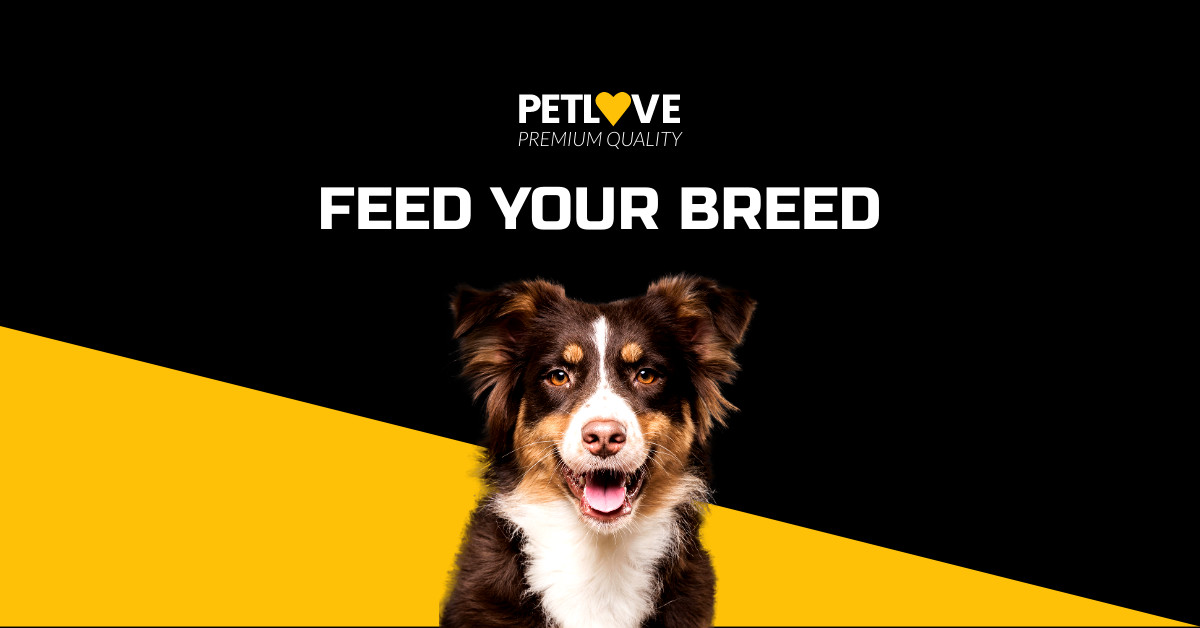 Feed Your Breed Pet Love
