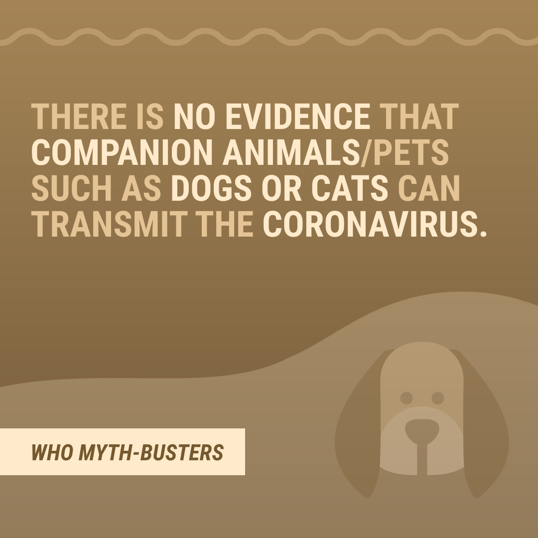 Myth COVID-19 Companion Animals Facebook Carousel Ads 1080x1080