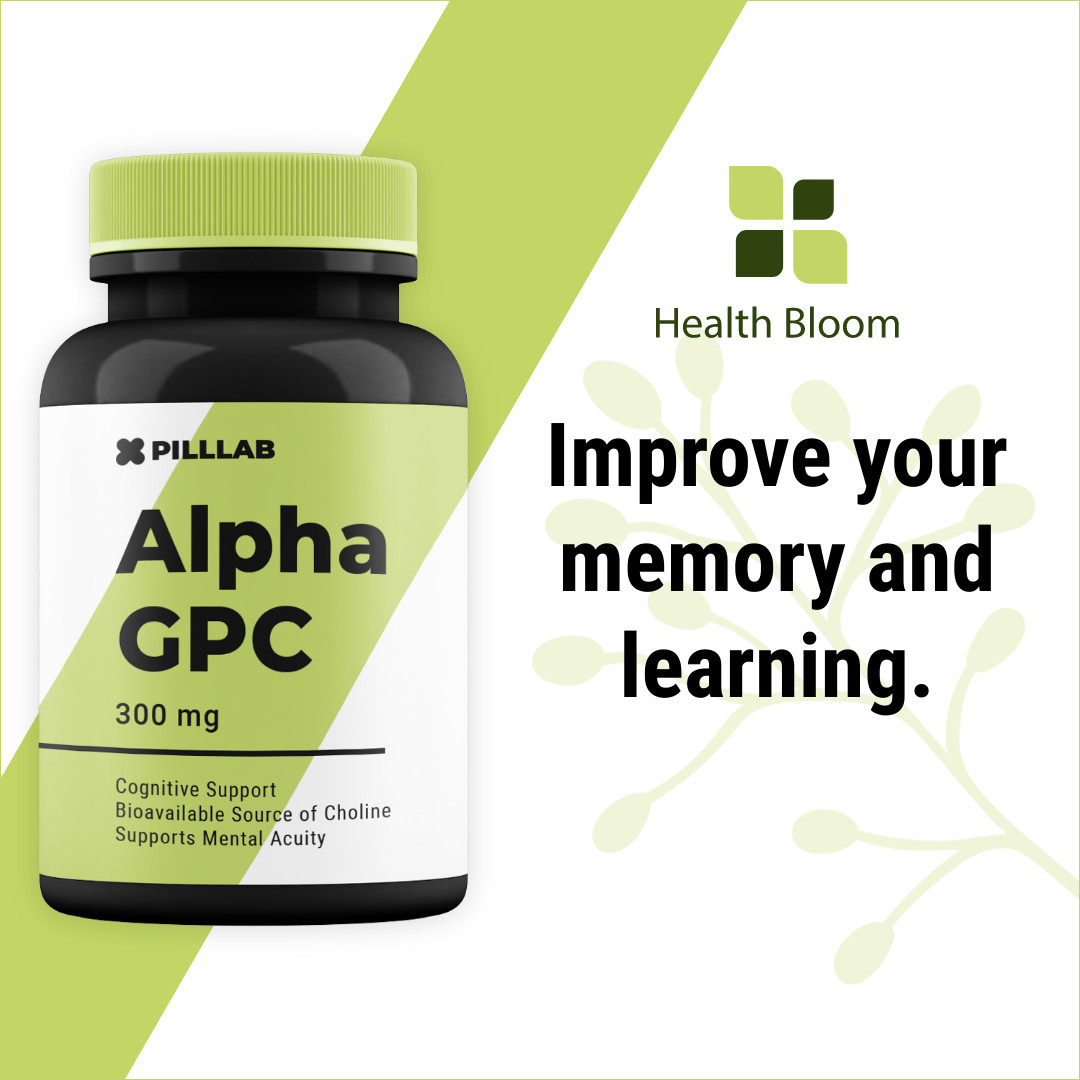 Improve Your Memory And Learning