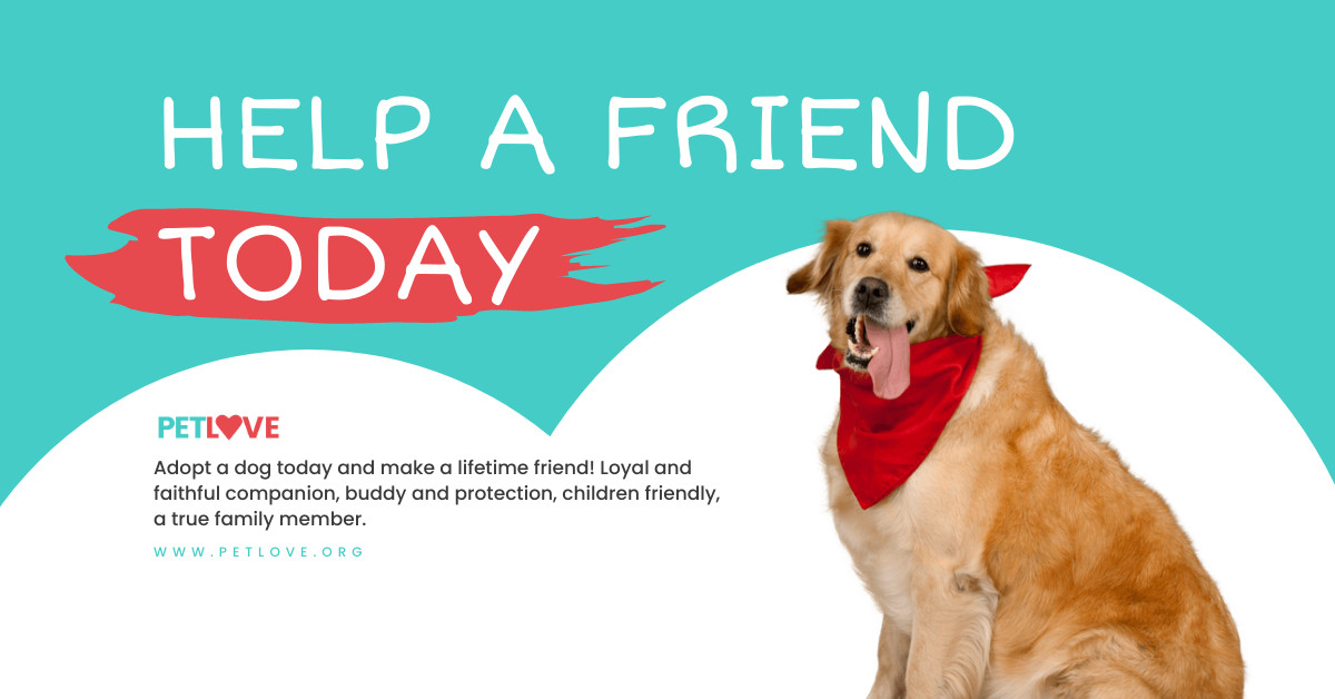 Dog Shelter Facebook Sponsored Message 1200x628
