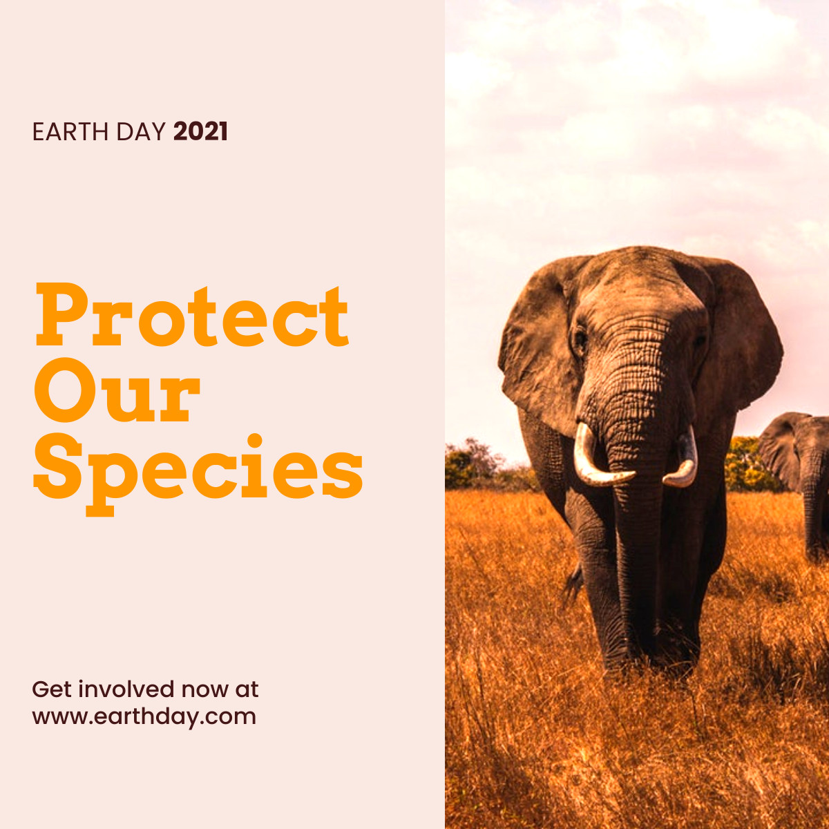Protect Our Species Earth Day Responsive Square Art 1200x1200
