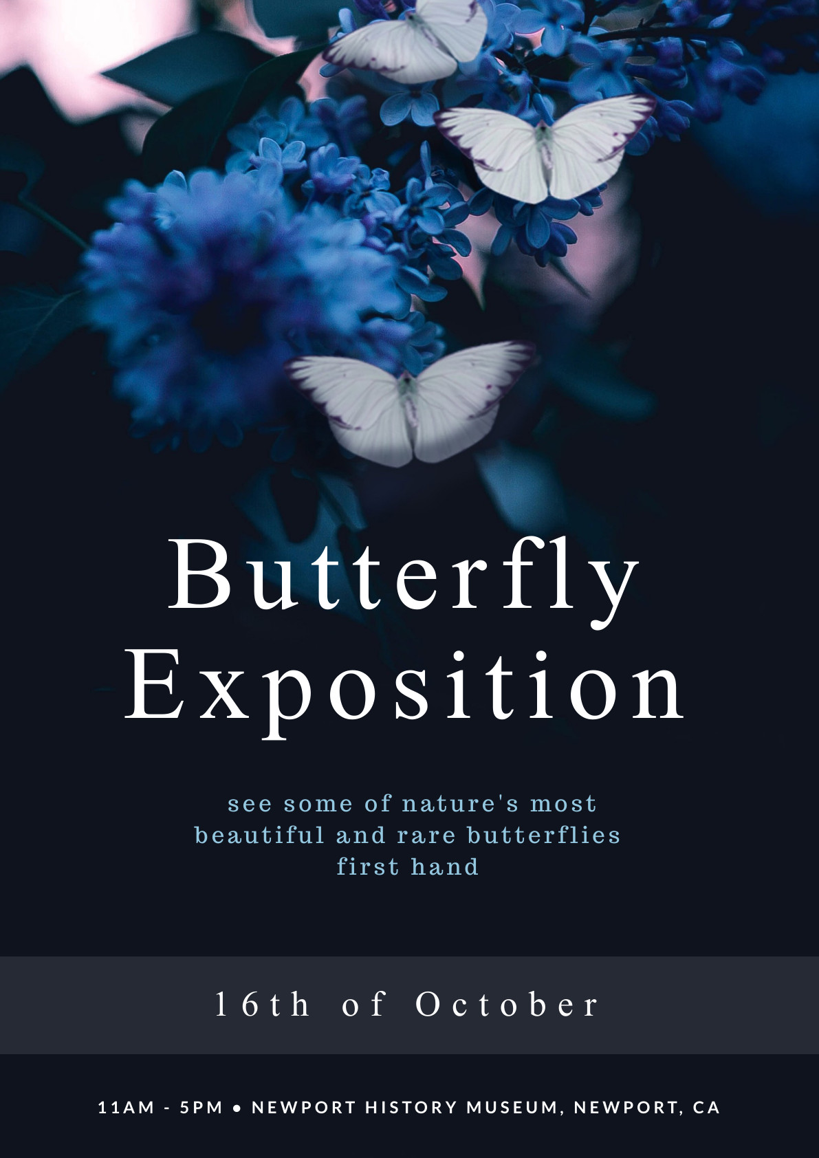 Beautiful Butterfly Exposition – Poster Template 1191x1684 template