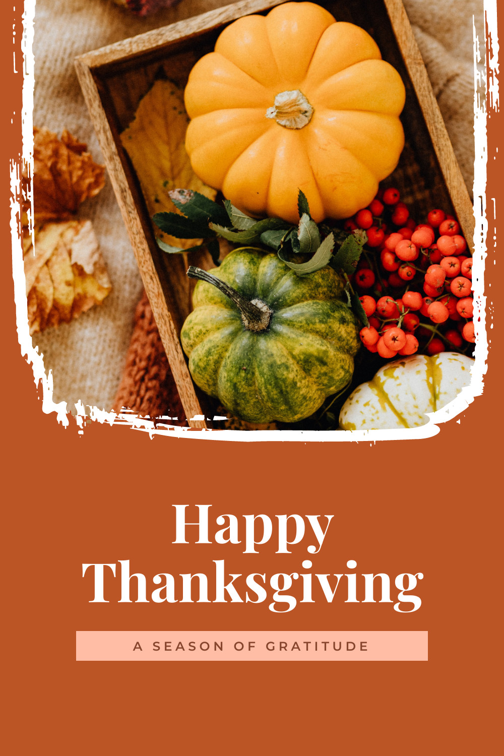 Season of Gratitude Thanksgiving Facebook Cover 820x360