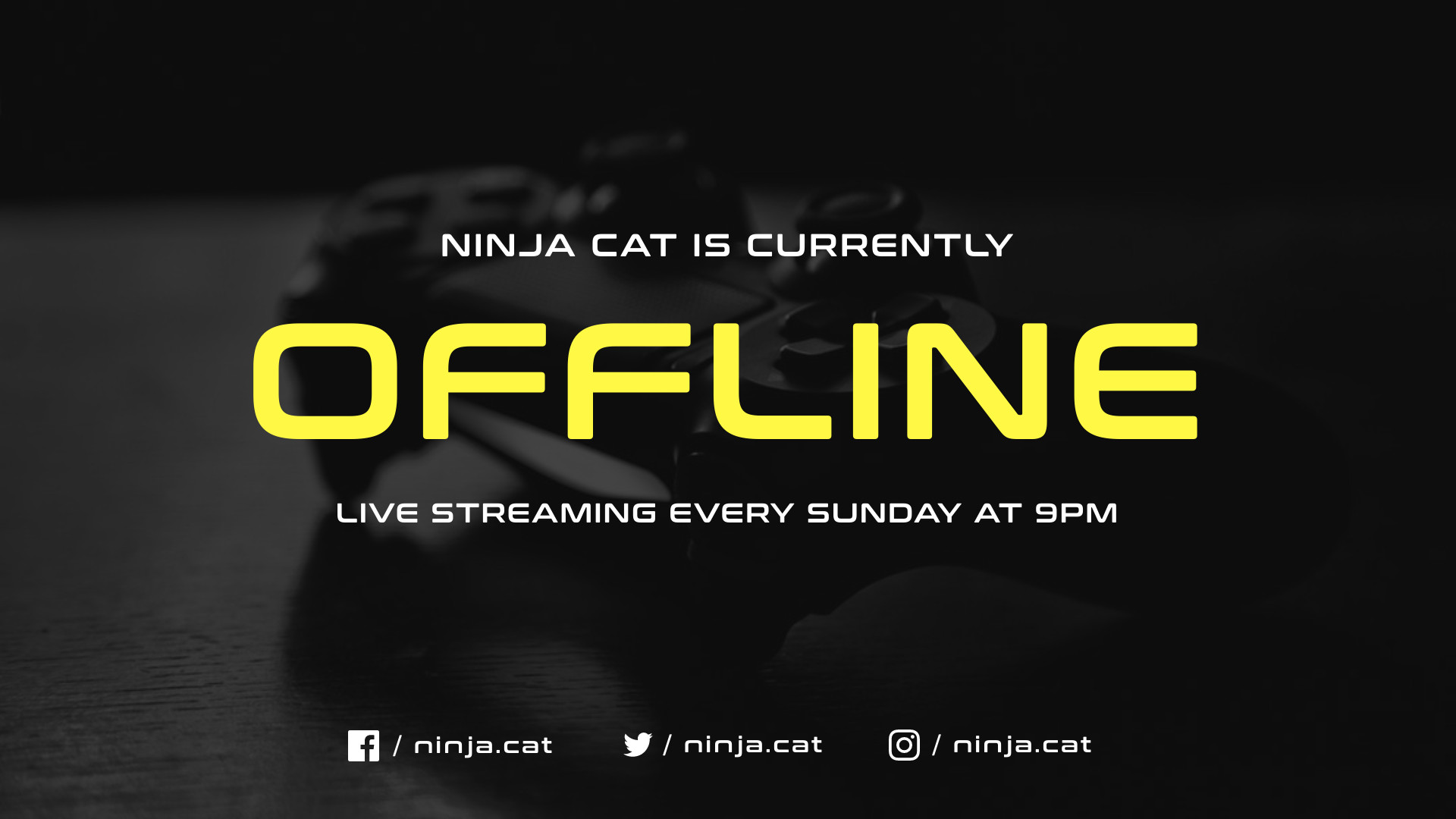 Ninja Cat Twitch Video – Cover Template Facebook FHD Video 1920x1080